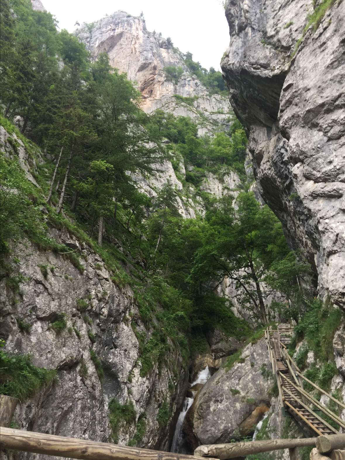Die Bärnschützklamm
