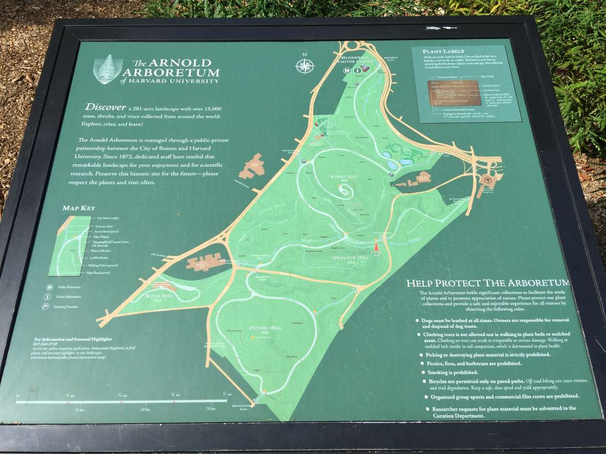 Die Wegekarte für das Arnold Arboretum