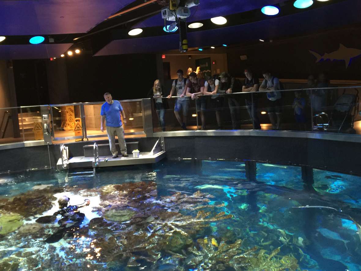 Das Bostoner New England Aquarium im obersten Stockwerk