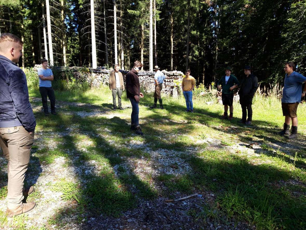 Ein spielerischer Umgang mit dem Wald und dem Kennenlernen