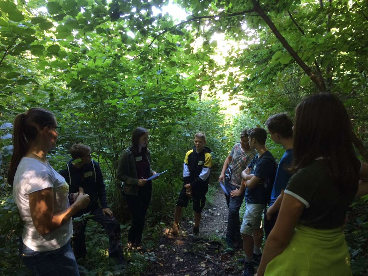 Unsere Waldpädagoginnen und Waldpädagogen erklären den Lehrforst