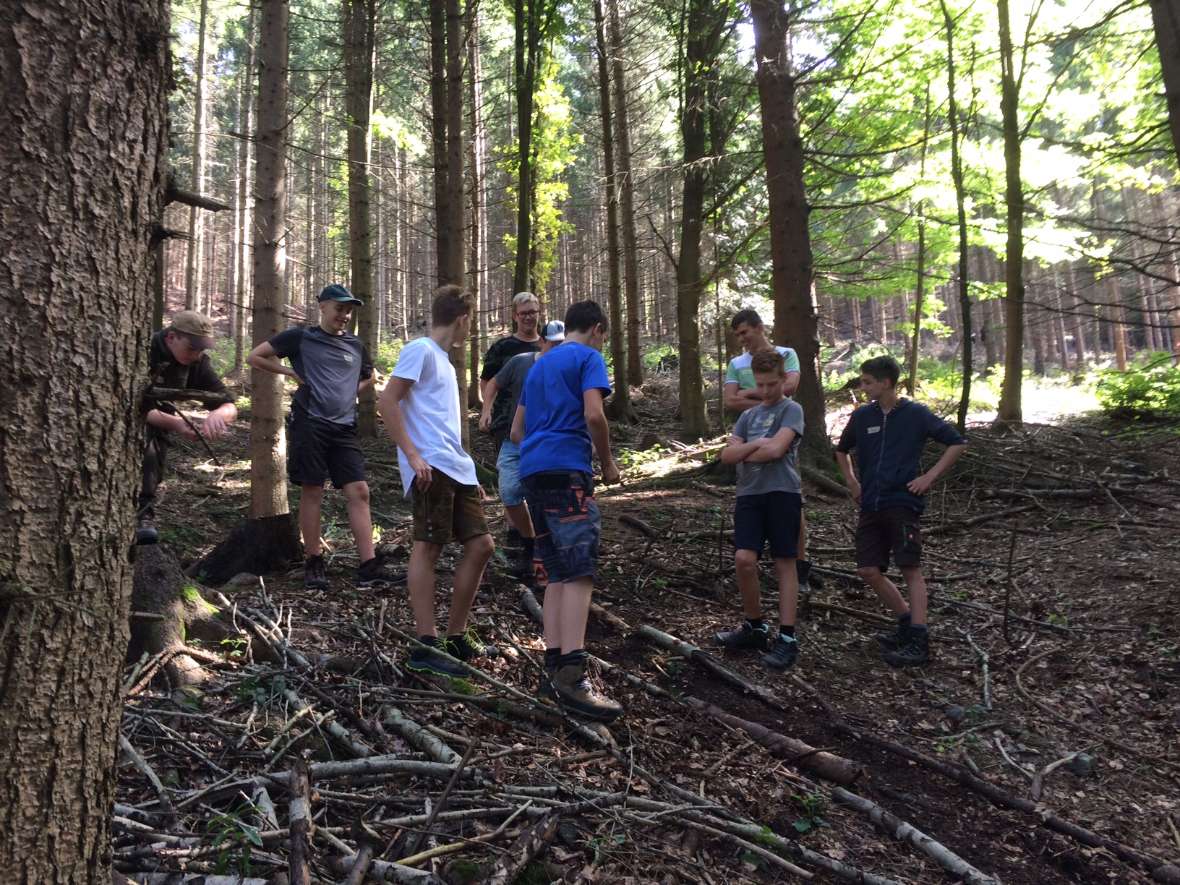 Schülerinnen und Schüler stehen an einem Waldhang