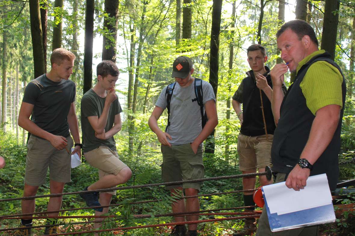 Wieviel Zugkraft wirkt auf den Baum