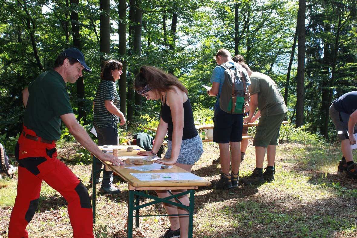 Welcher Käfer macht welchen Schaden