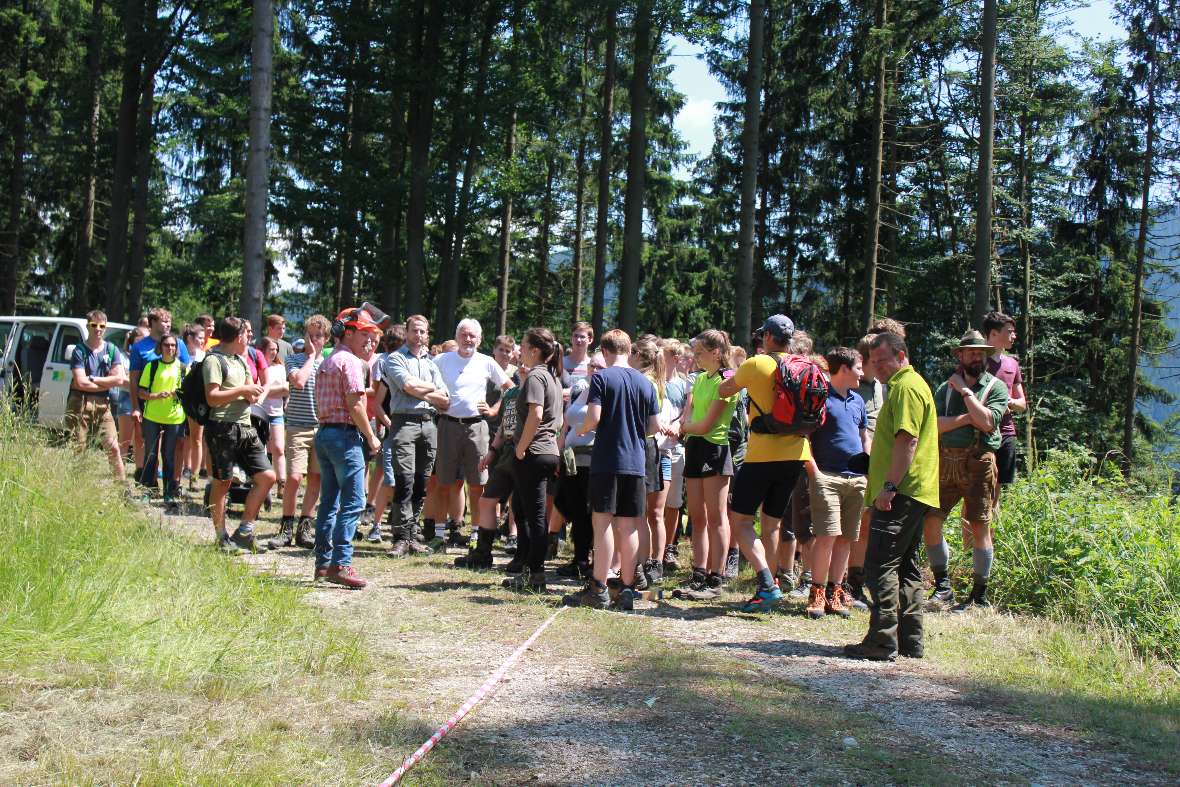 Besprechung vor der Fällung