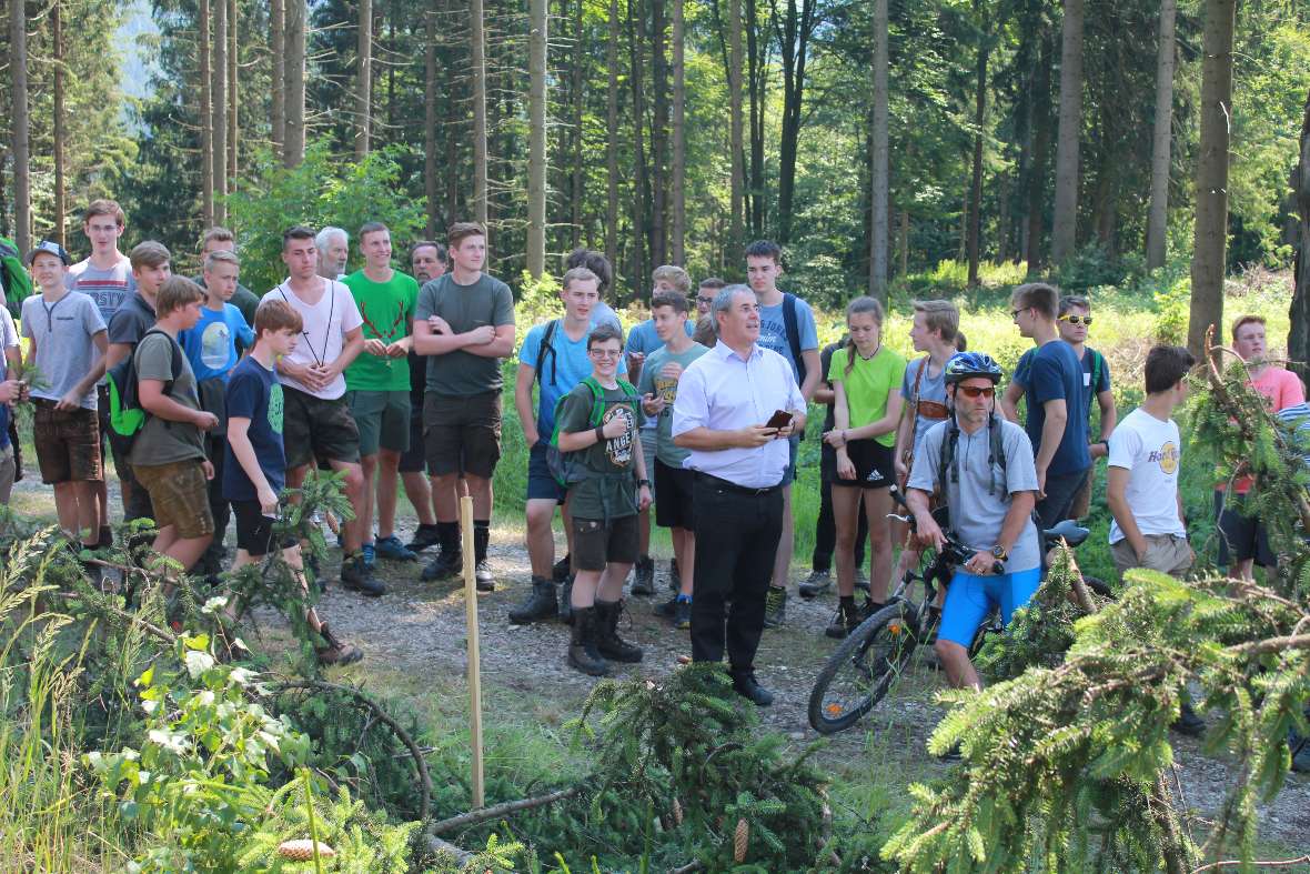 Die Teams begutachten den gefällten Baum