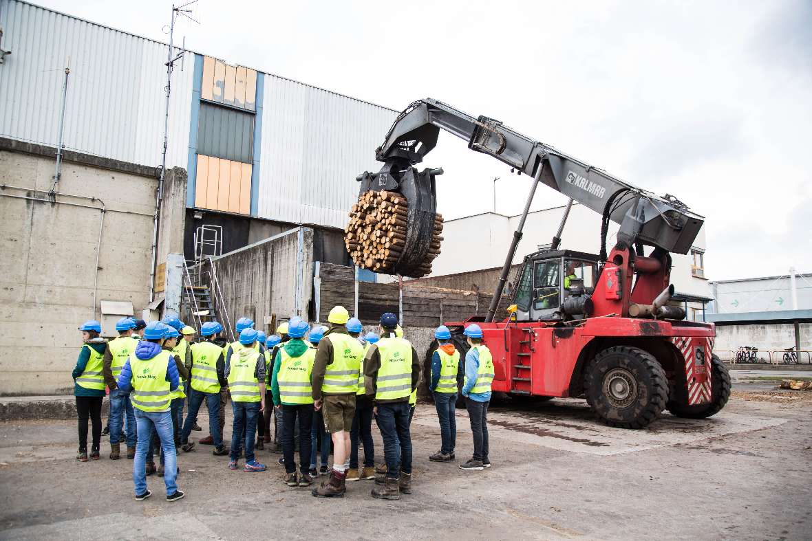 Holz wird mit einem Großlader in Position gebracht