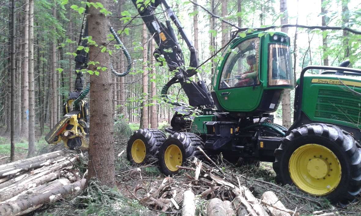 Mechanisierte Holzernte mit dem Harvester