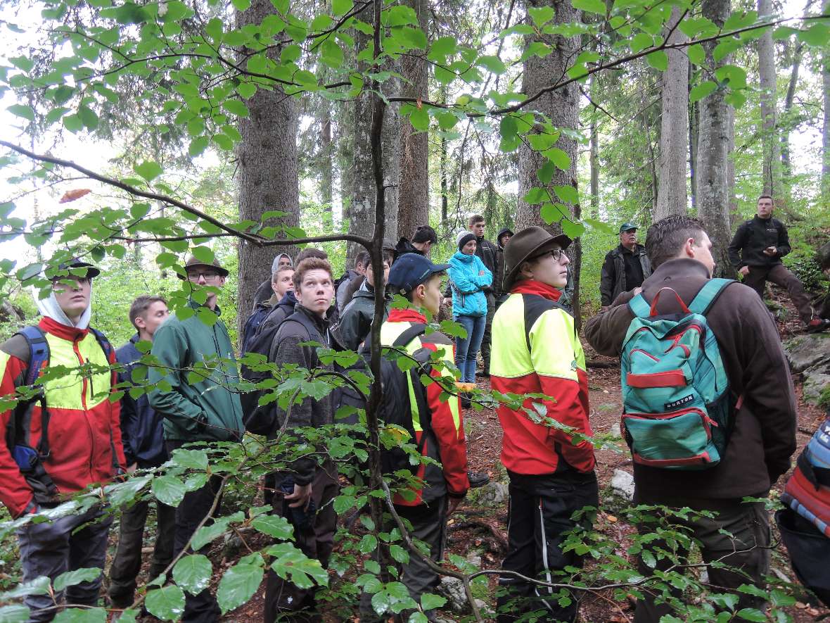 Blick in Schülergruppe im Wald