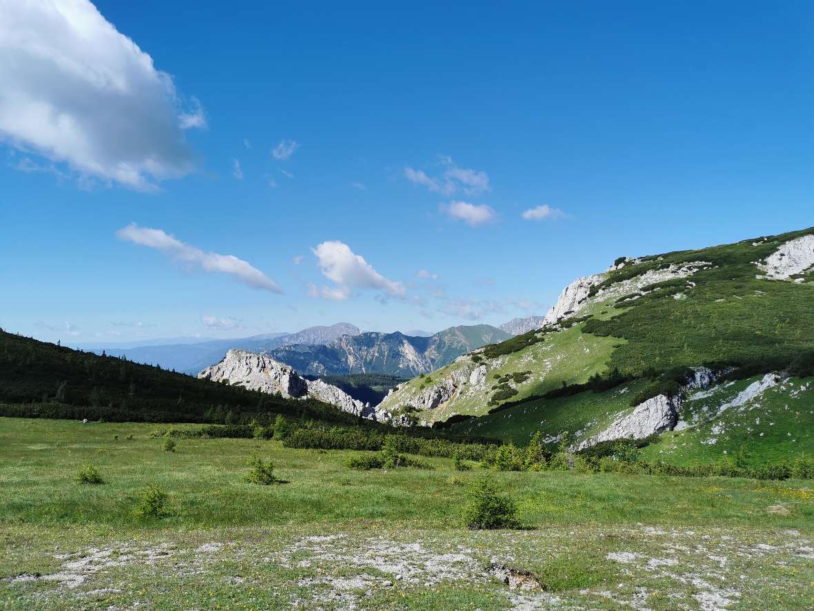 Blick auf die Bergwelt