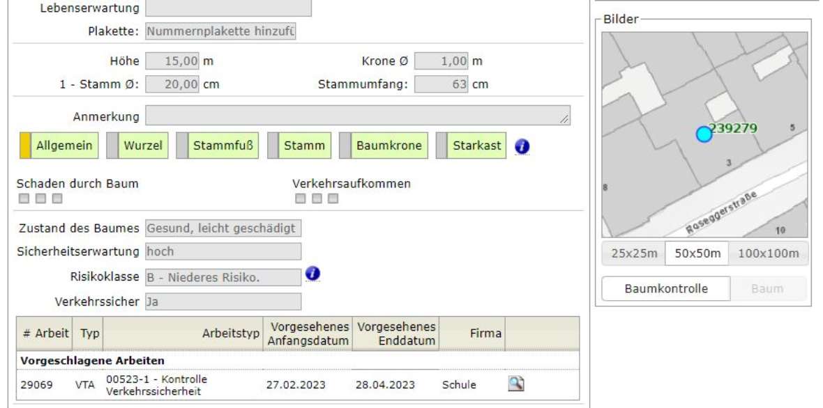 Einzelbaum mit Informationen in der Datenbank