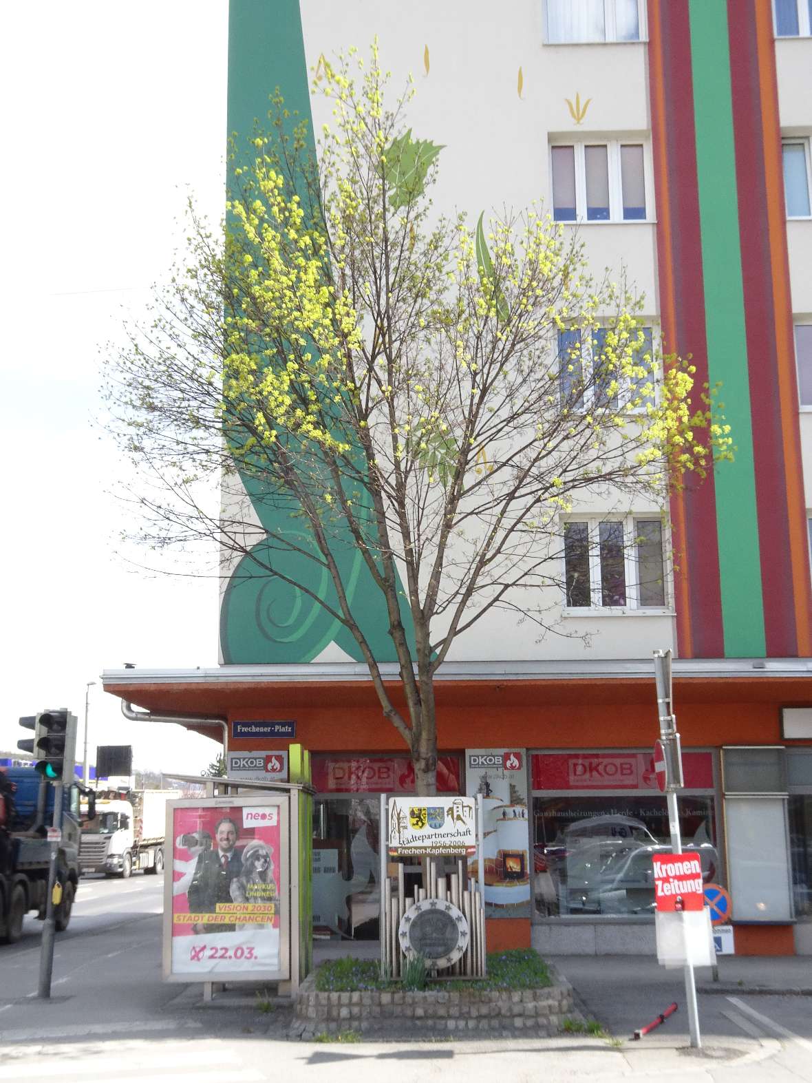 Bäume haben es im Asphaltdschungel oft schwer