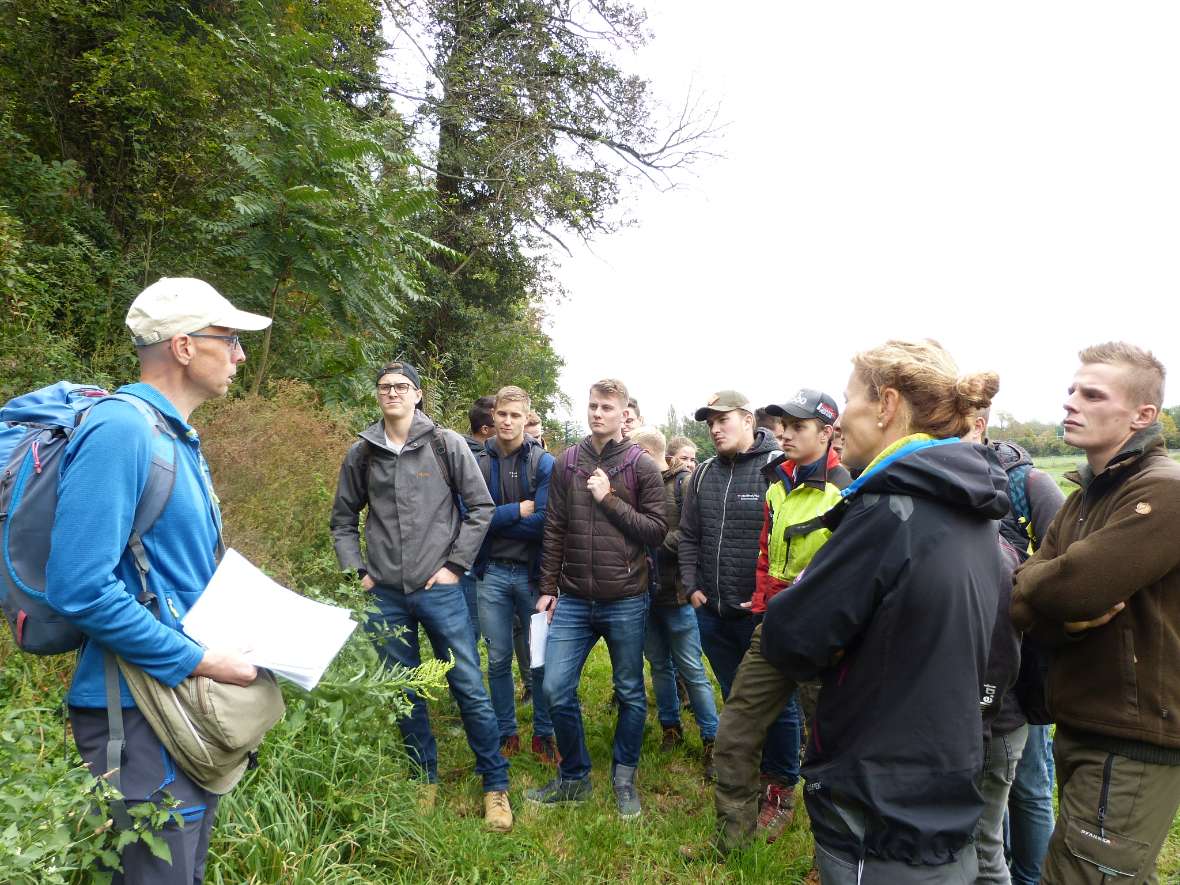 Einführung und Erklärung von Waldübergängen