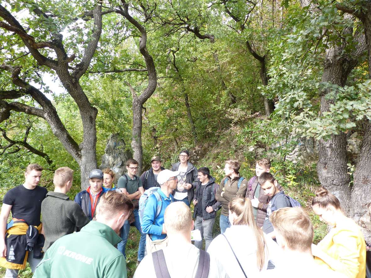 Schülergruppe im Wald mit Referenten und Lehrern
