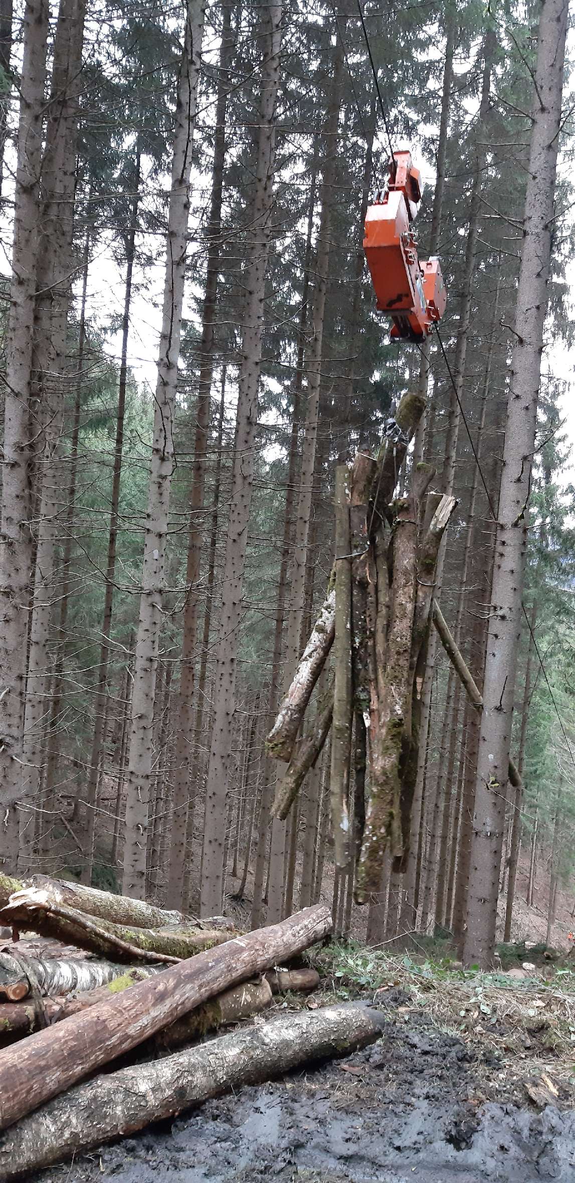 Der Laufwagen des Sherpa im Ernteeinsatz