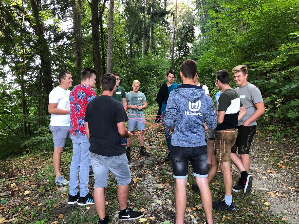 Ein Netzgewebe symboliert die Lebensgemeinschaft Wald