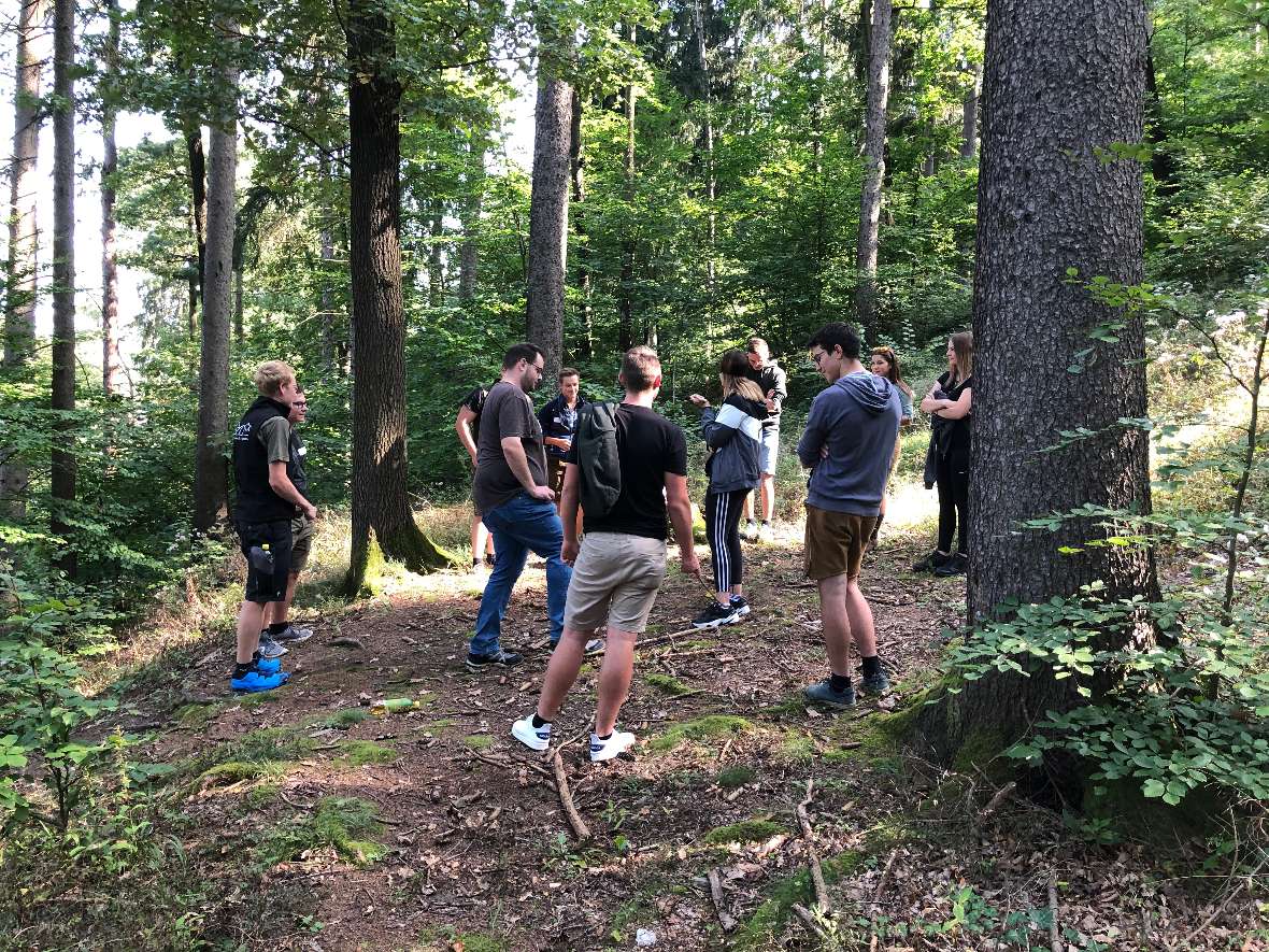 Kreisspiel im Wald