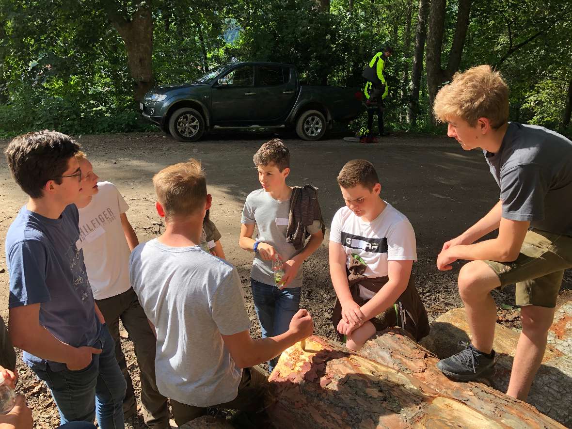 Schülerinnen und Schüler in Kleingruppe bei Holzstoß