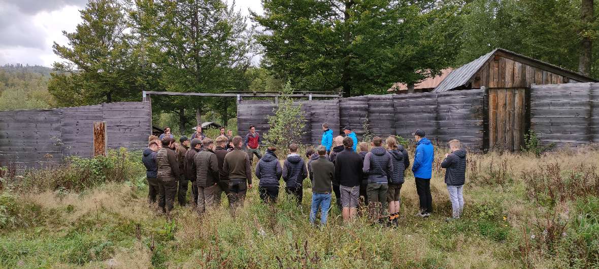 Forstliche Anlage im Bayrischen Wald