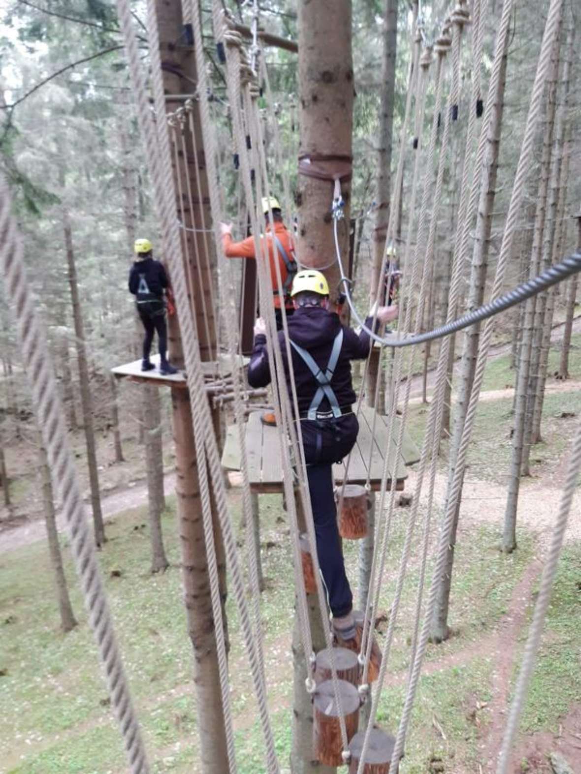 Eine Seilbrücke mit freischwebenden, einzelnen Holzblöcken als Trittfläche