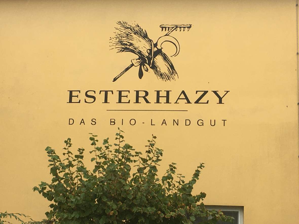 Logo des Unternehmens Esterhazy