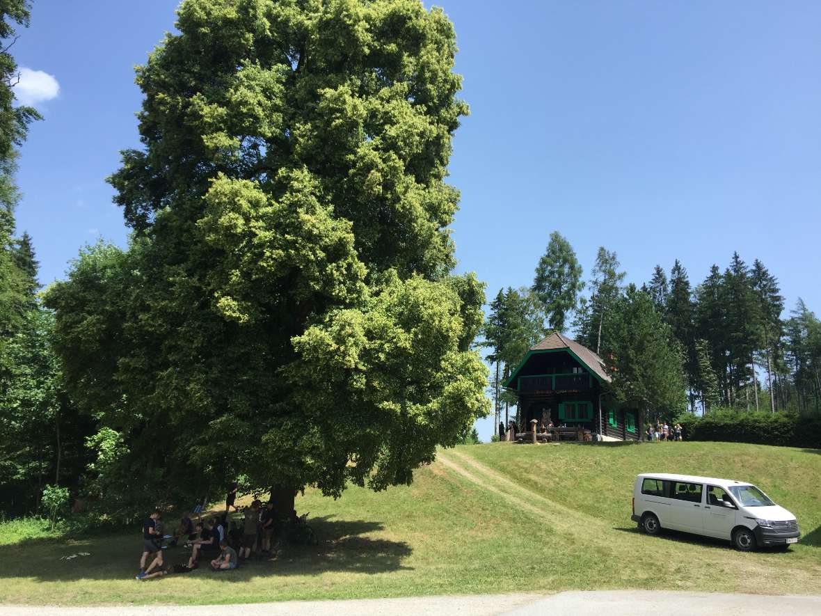 Blick zur Waldschule bei Traumwetter