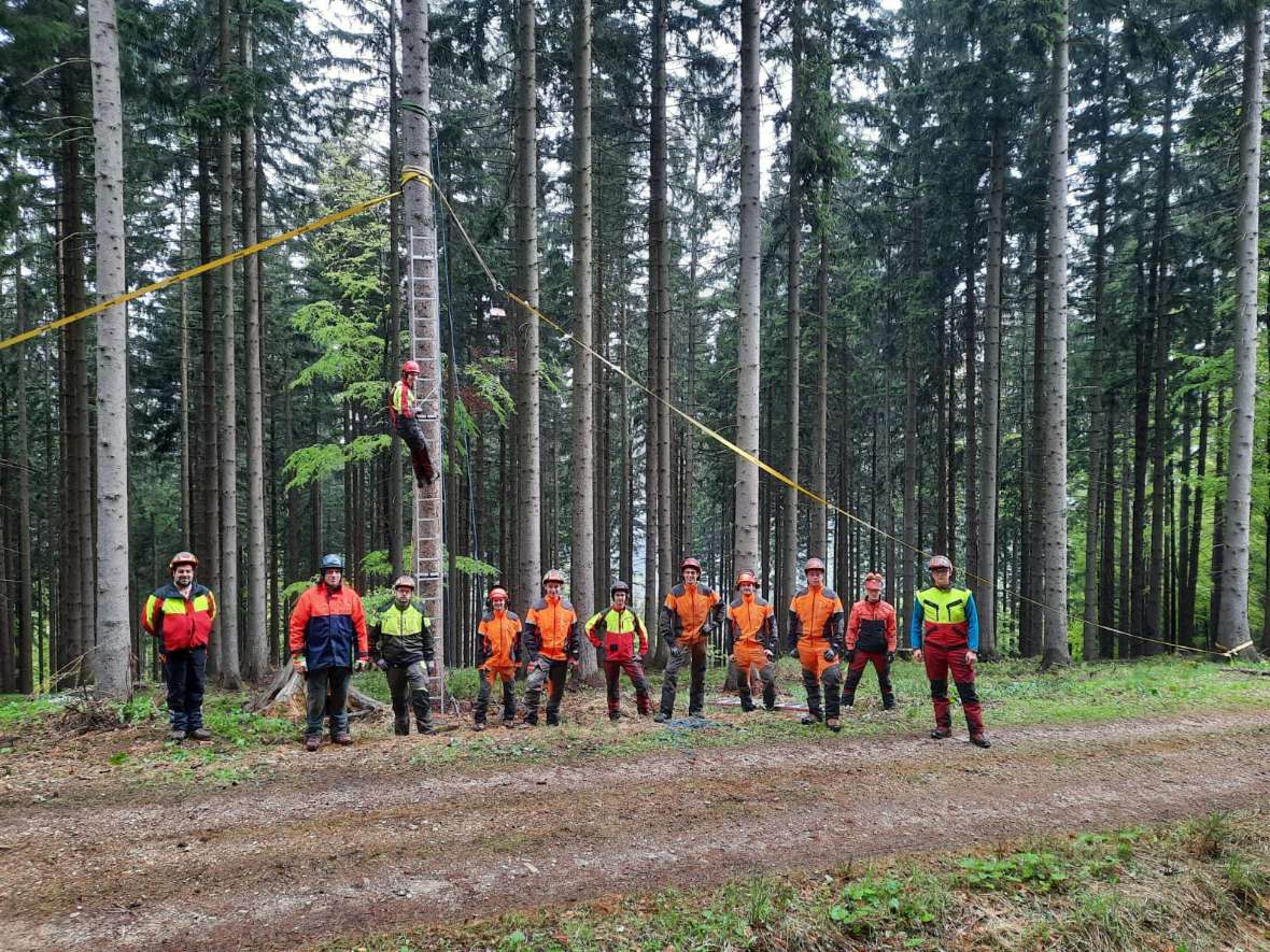 Forsttechnisches Baumklettern mit Leiter für Seilkranarbeit