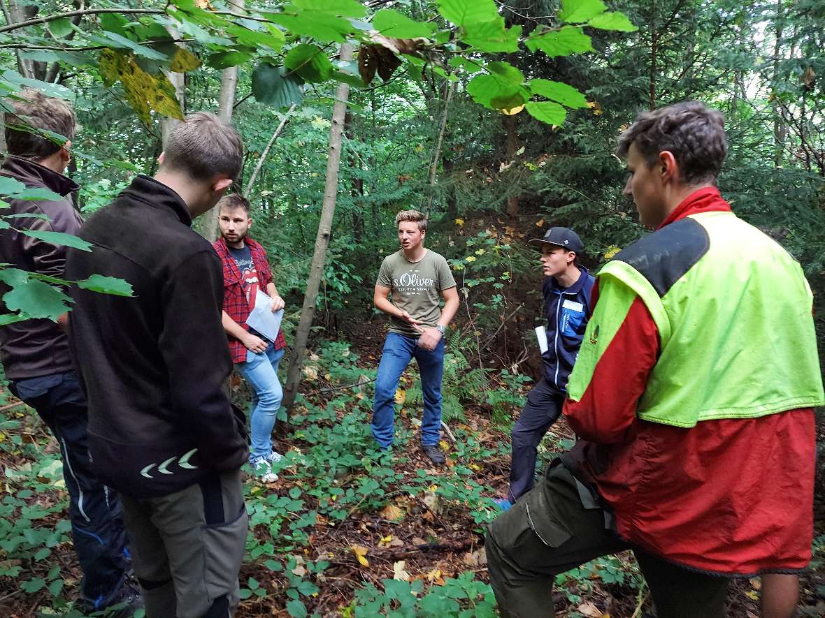 Schüler des Aufbaulehrgangs im Wald