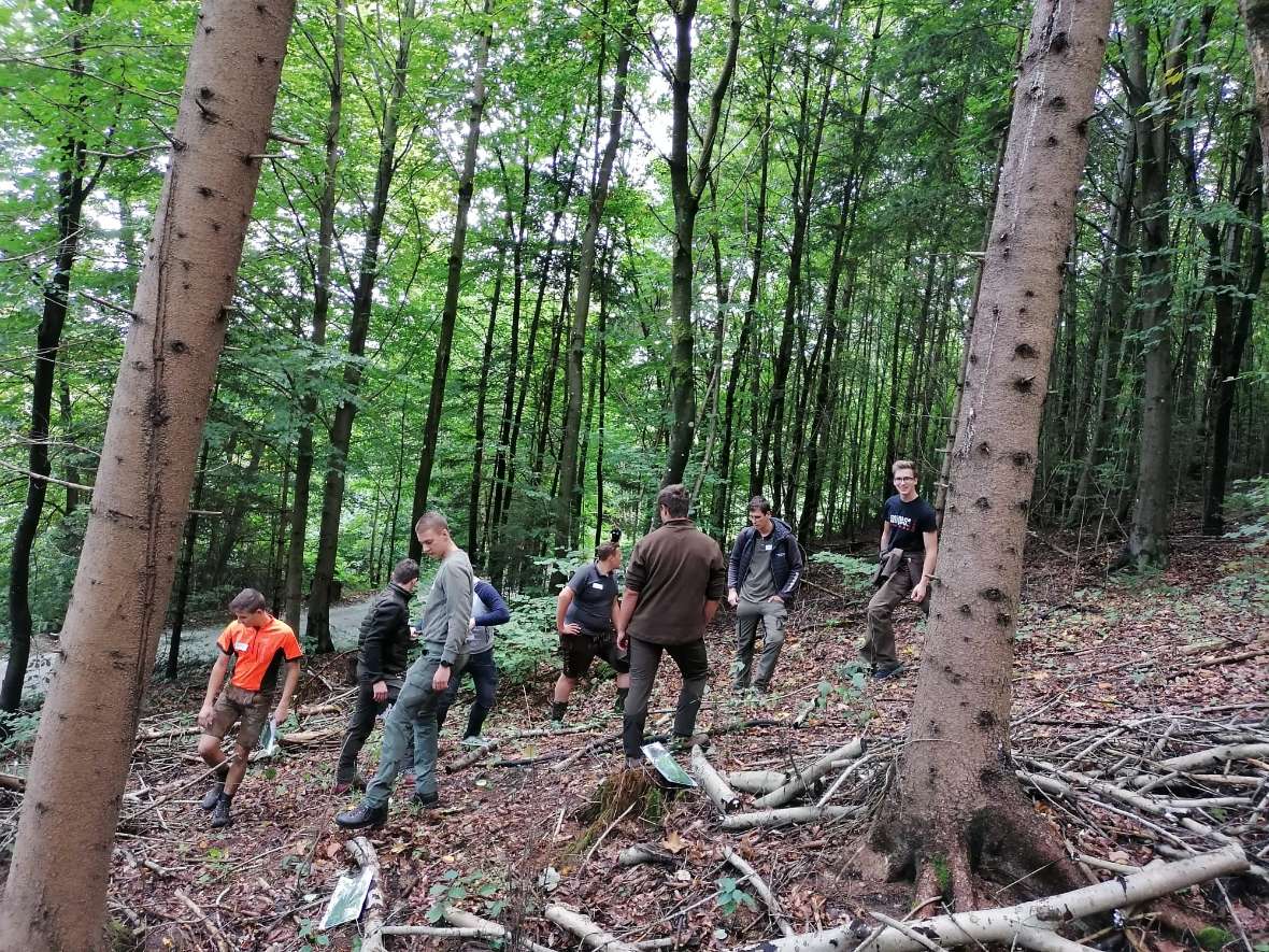 Schüler im Lehrforst in einer Lichtung