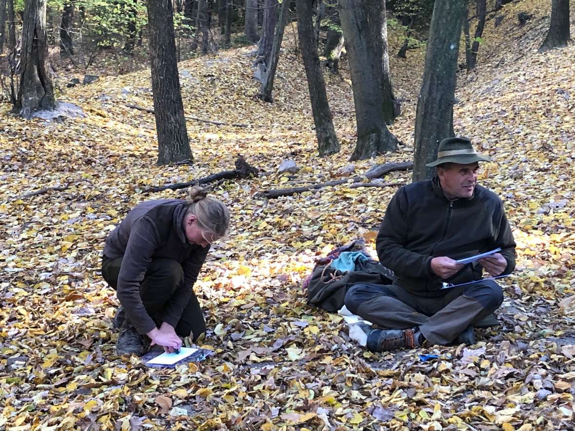 Vorbereitung auf dem Waldboden