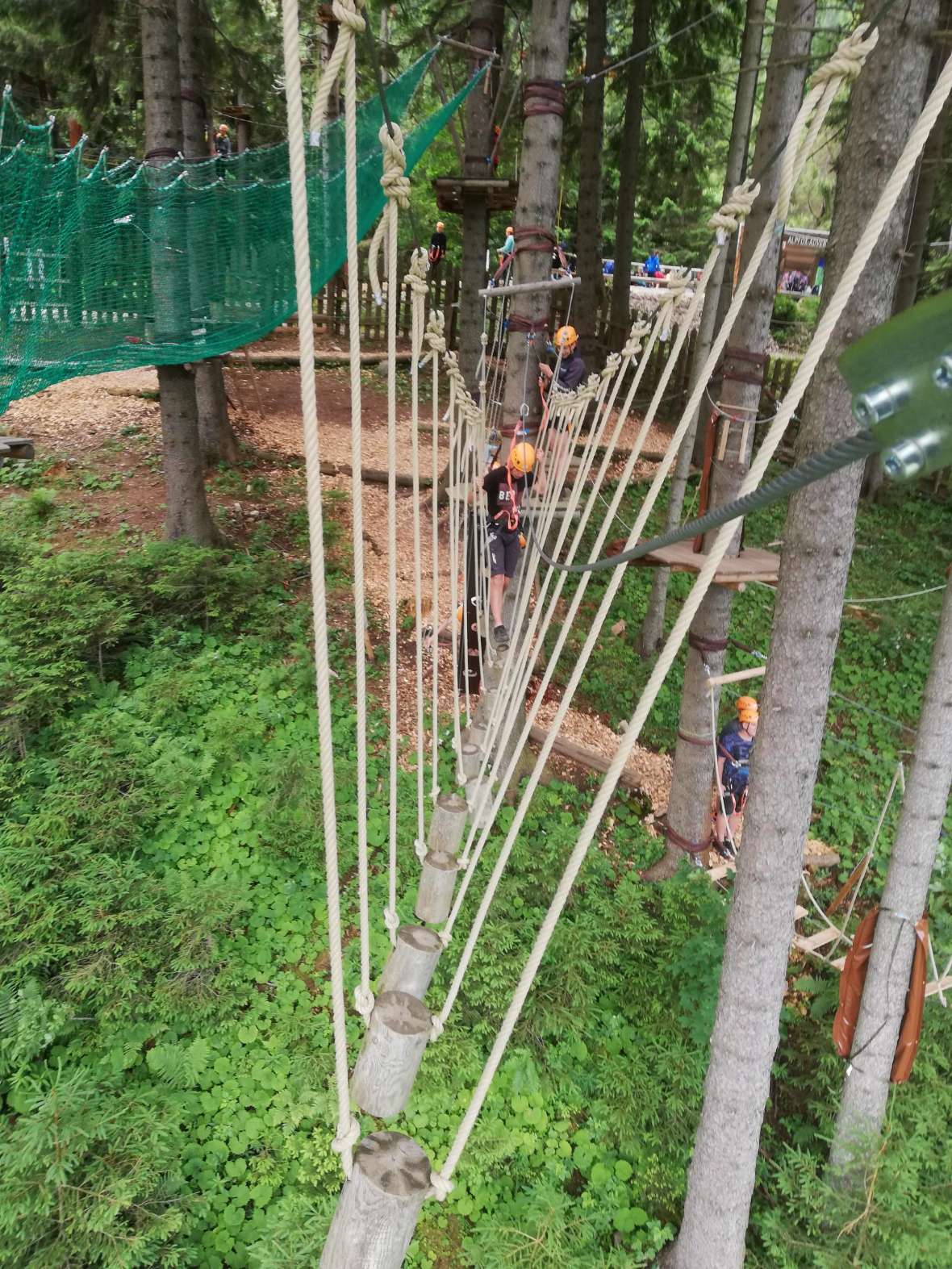 Blick zurück auf Schüler im Klettergarten