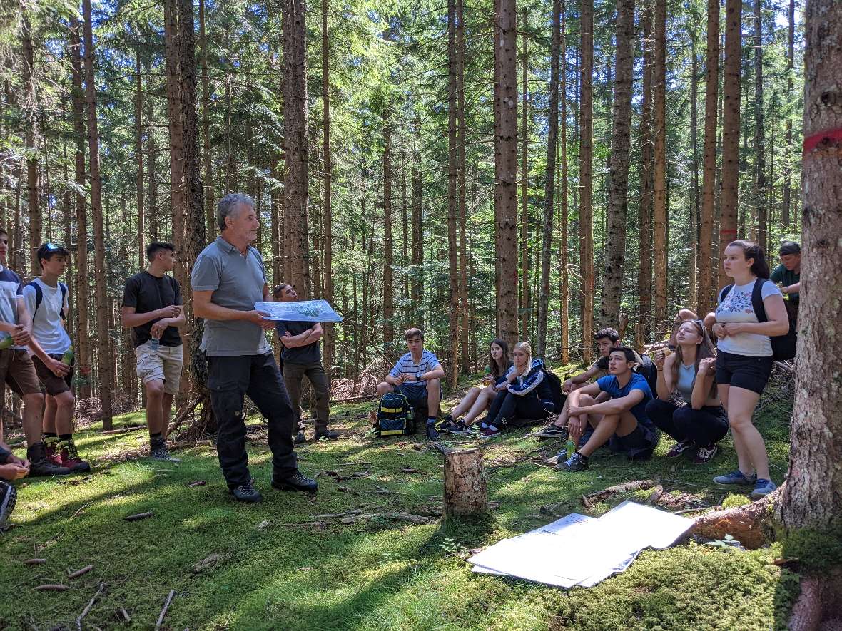 Sitzende Schülergruppe auf Waldlichtung