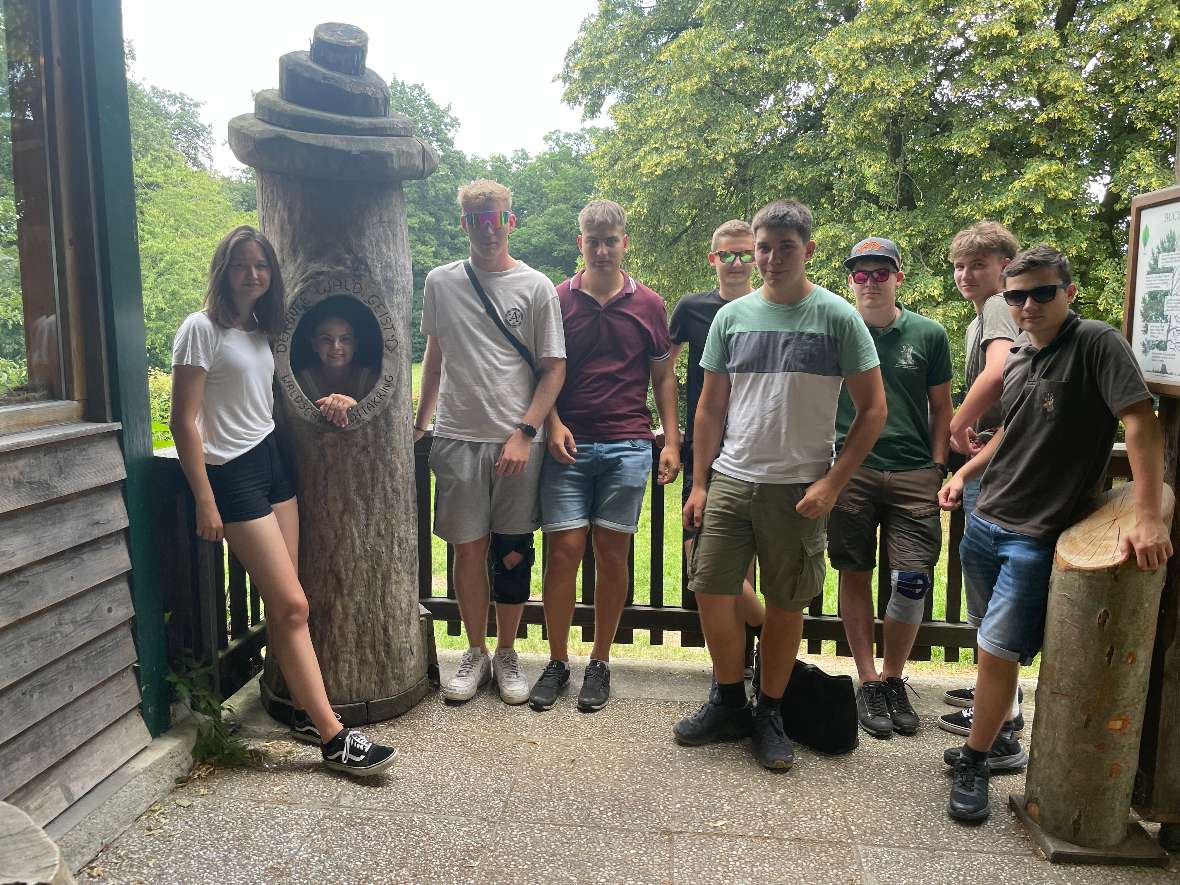 Gruppenbild mit hohlem Baum