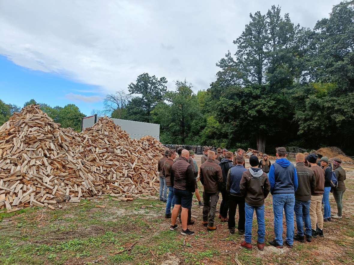 Gruppe vor einem Haufen Schnittholz