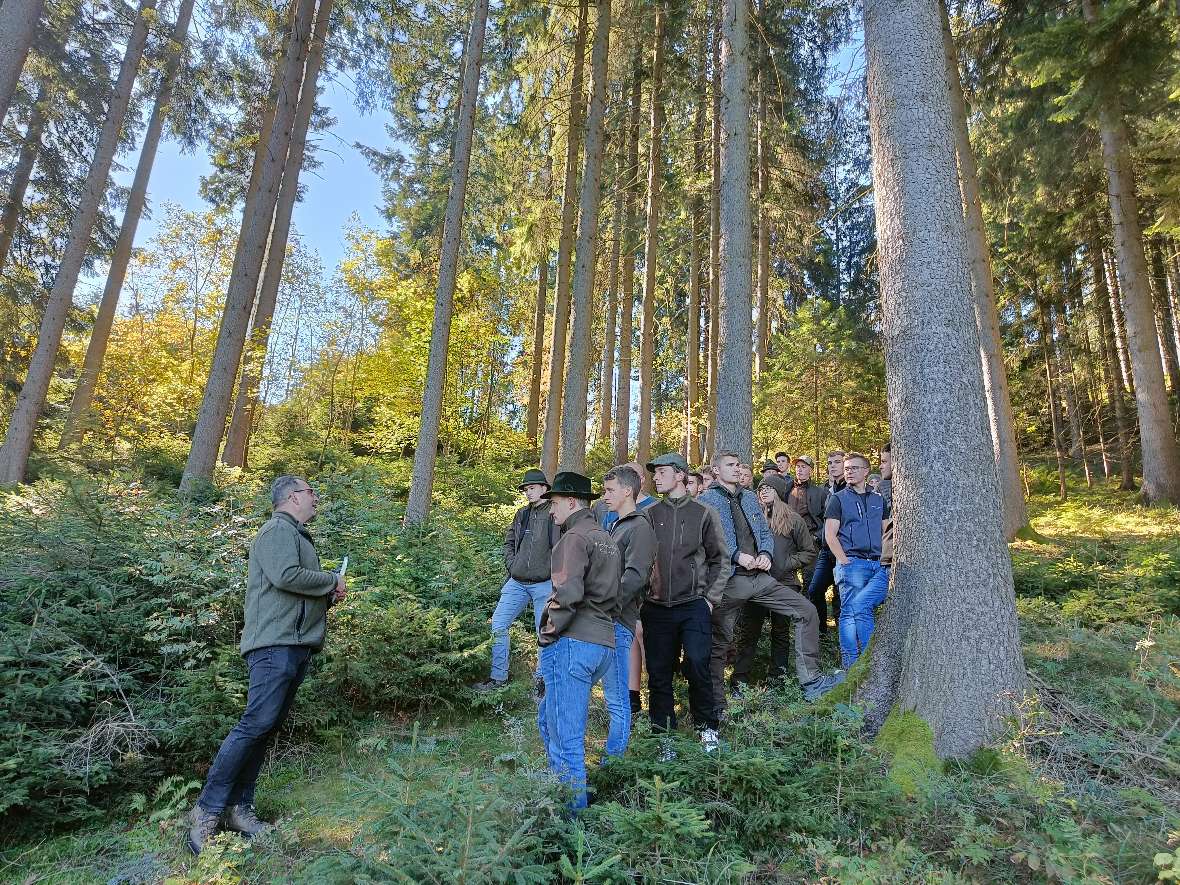 Ausflug in den Wald