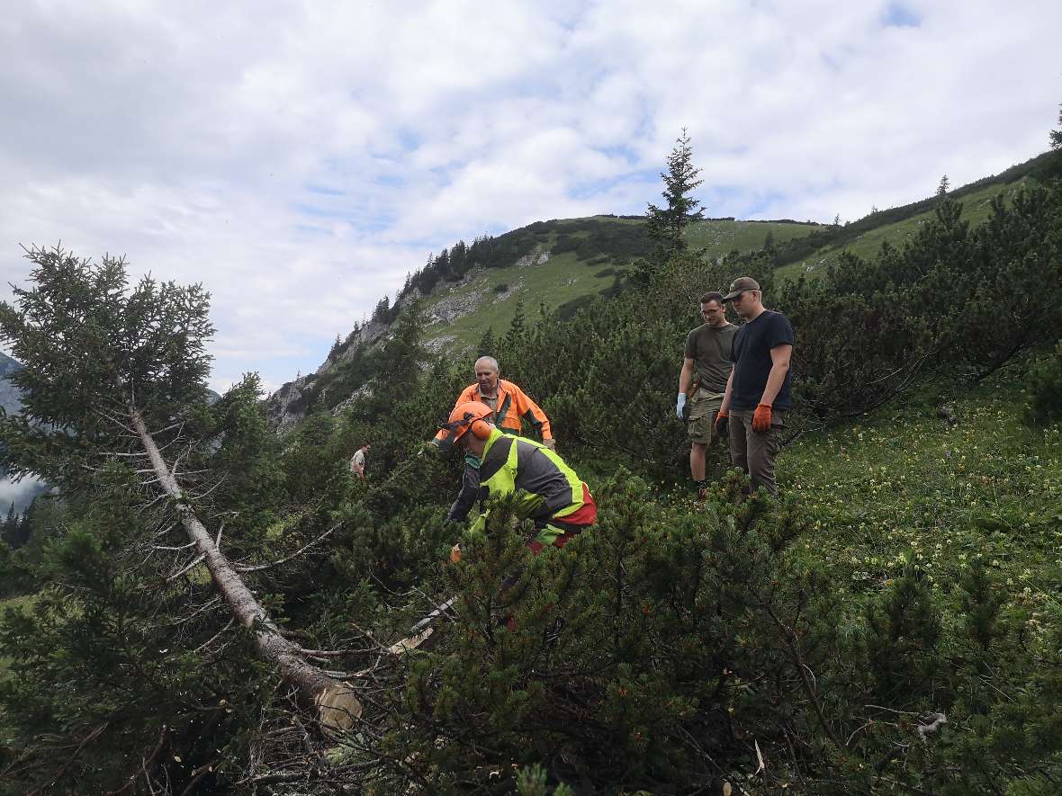 Motormanueller Einsatz auf der Alm