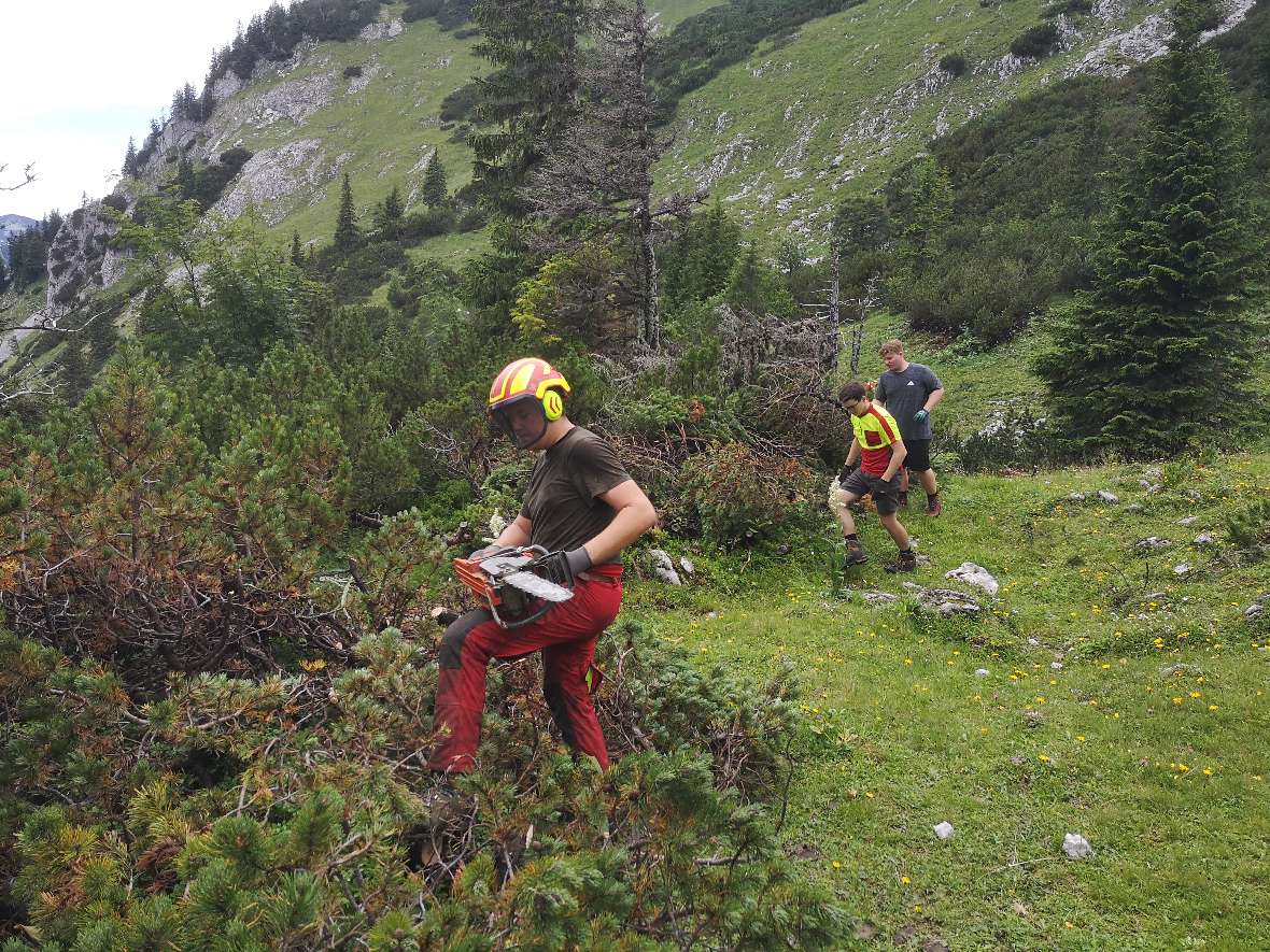 Schwendeinsatz auf der Alm