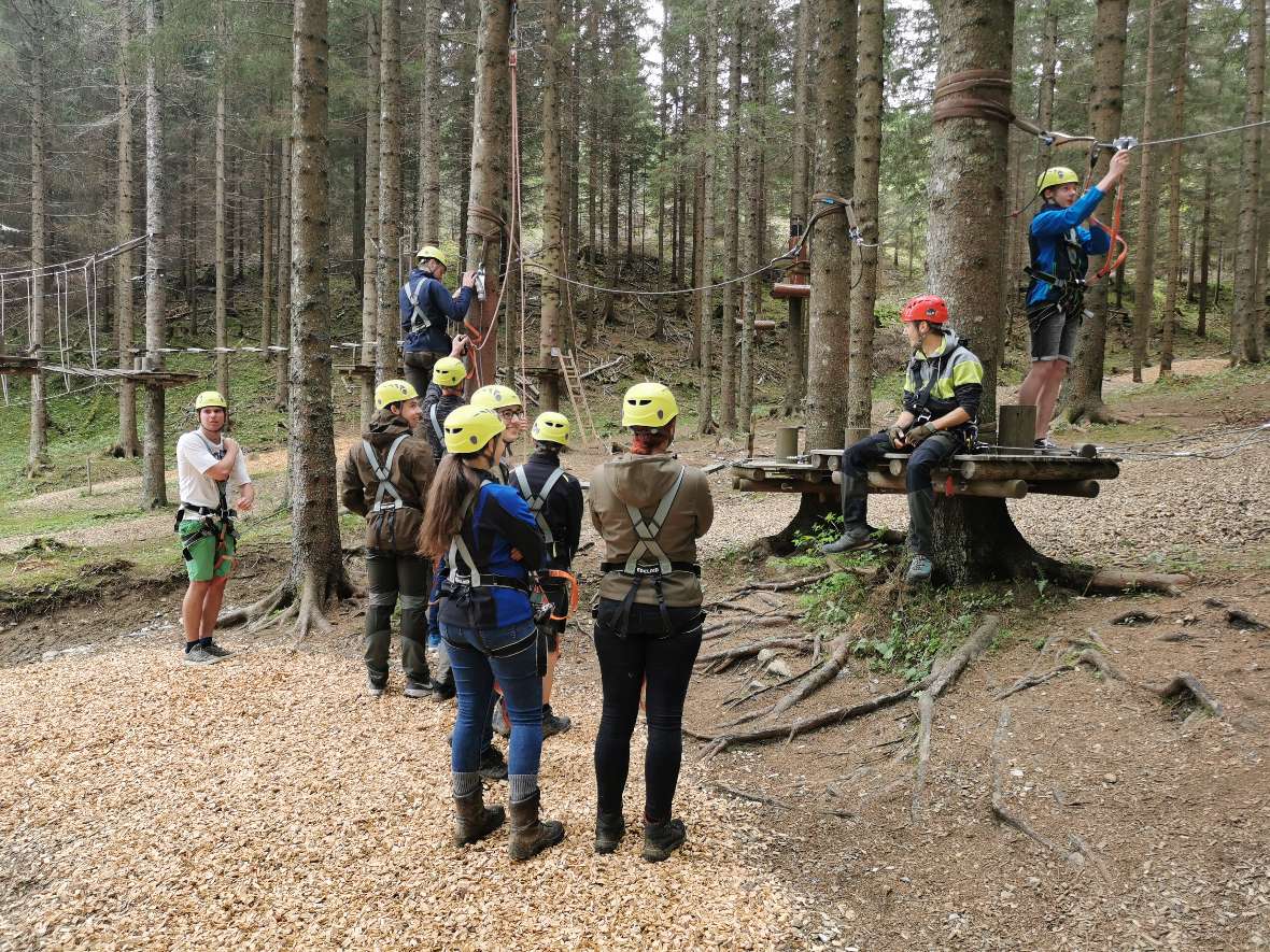 Schüler im Klettergarten schauen auf die Bäume