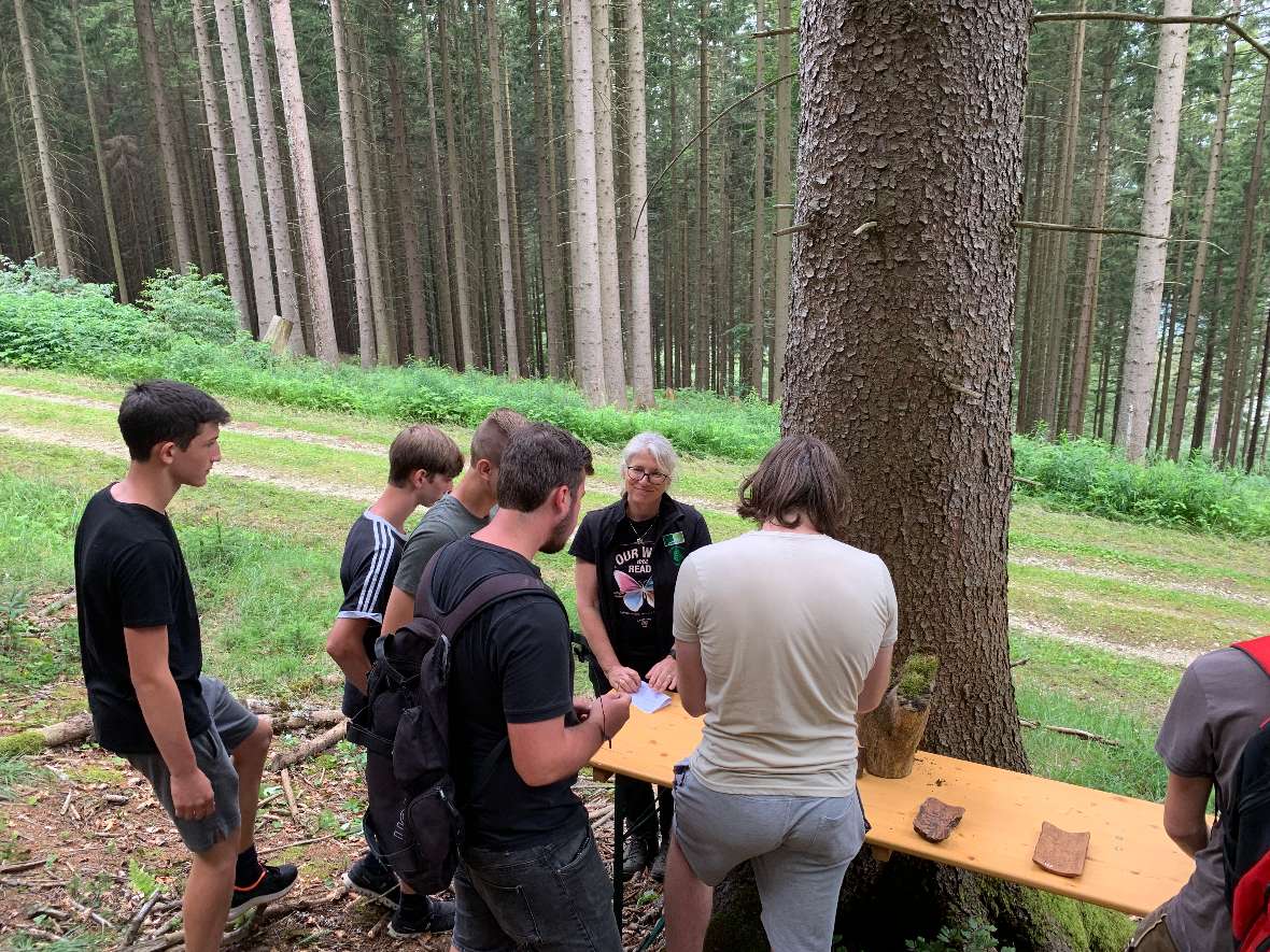 Gruppe bestimmt Blätter und Knospen