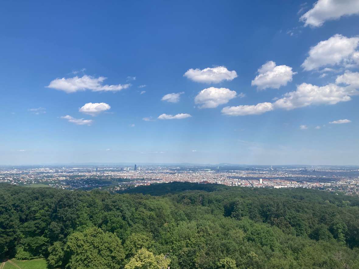 Ausblick vom Dach über den Wienerwald nach Wien