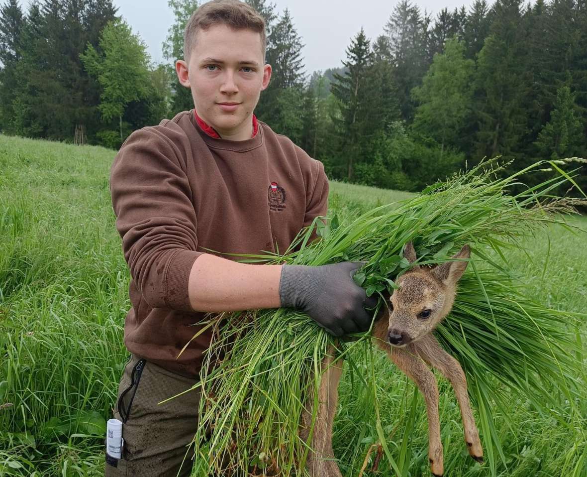 Schüler mit geborgenem Kitz