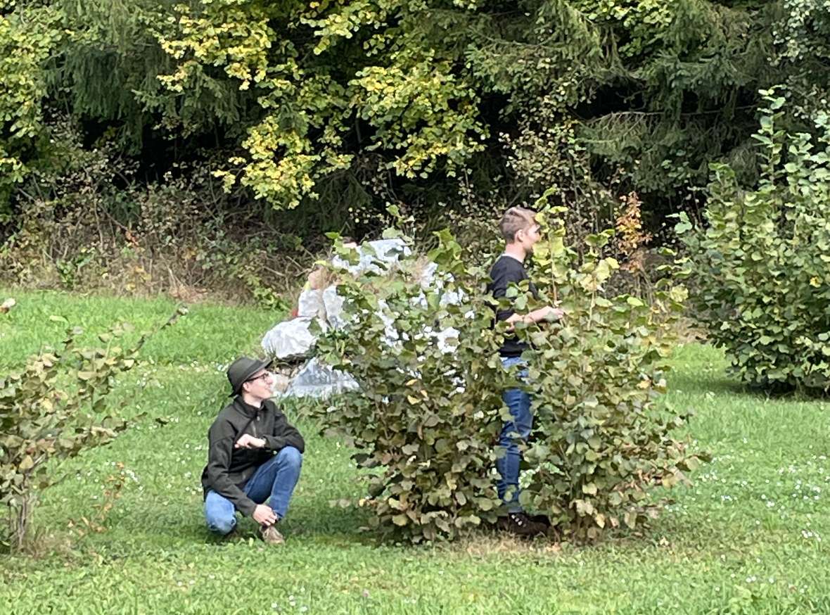Schüler versteckt sich in einem Busch, ein weiterer kniet hinter dem Busch
