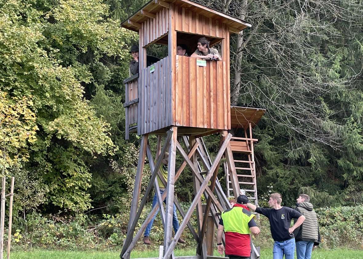 Schüler blicken aus einem Hochsitz