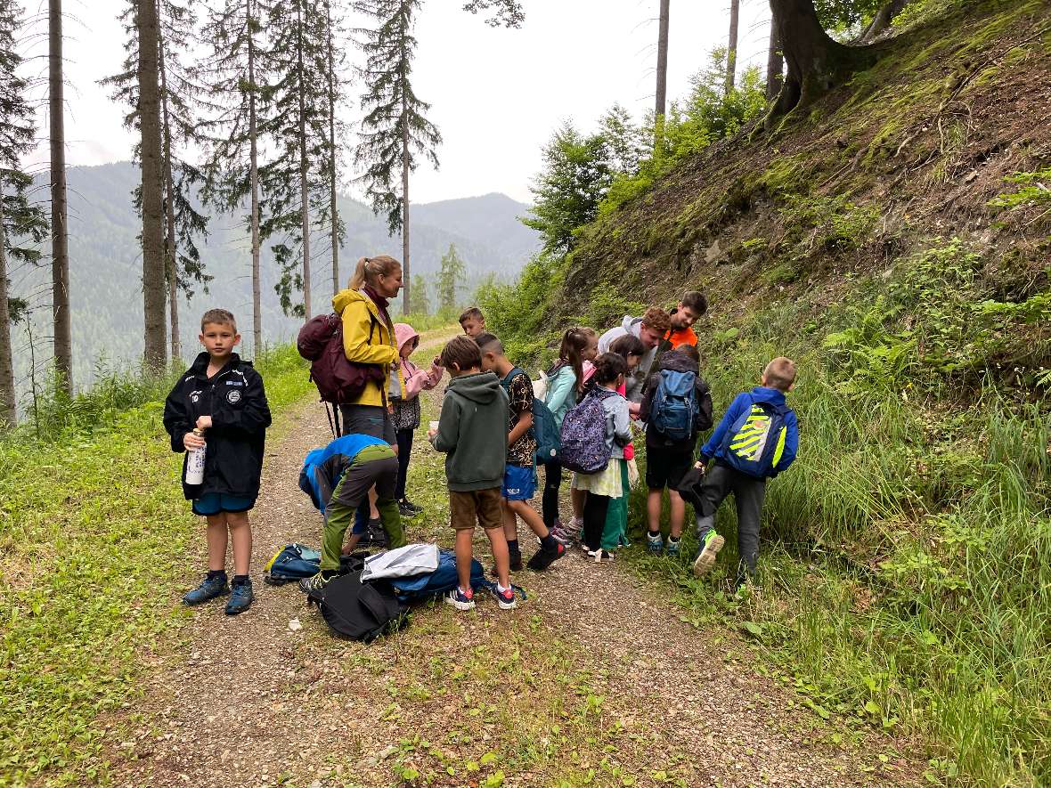 Gruppenbild auf der Forststraße