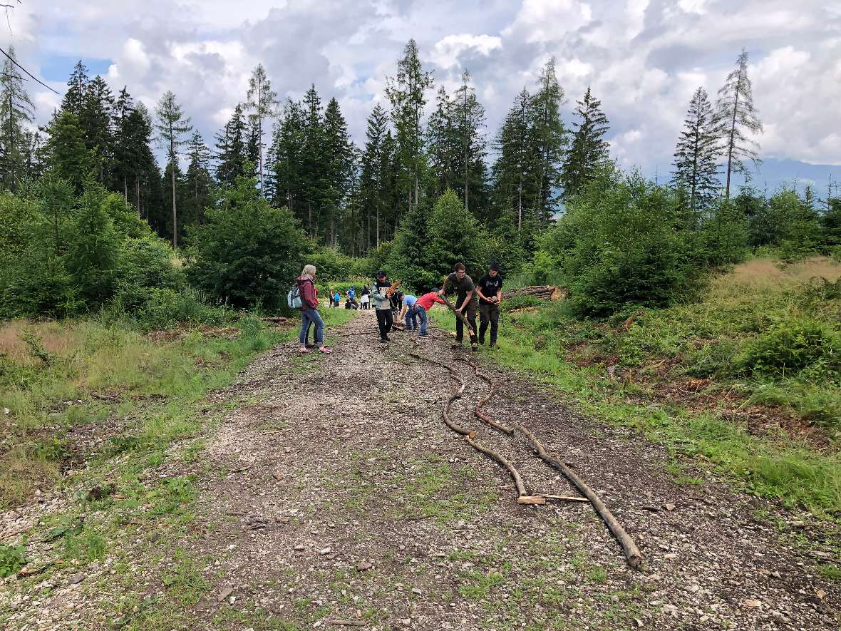 Kinder bauen eine Kugelbahn mit Ästen