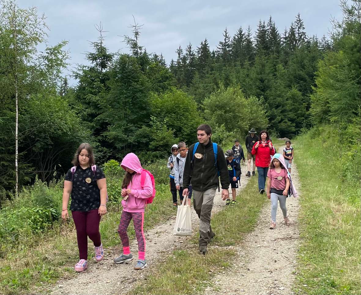 Wanderung auf den Forststraßen im Lehrforst