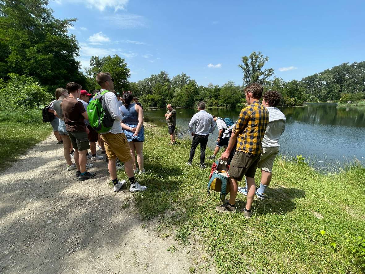 Lobau