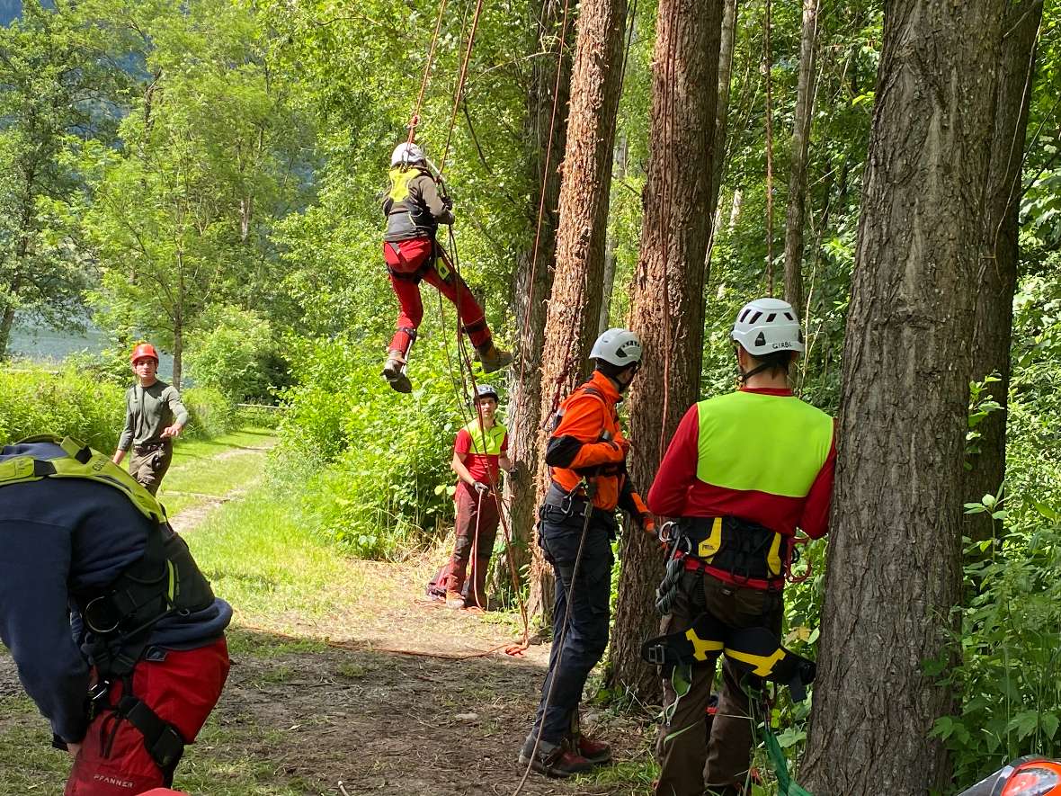 Abseilen vom Baum beim Baumklettern