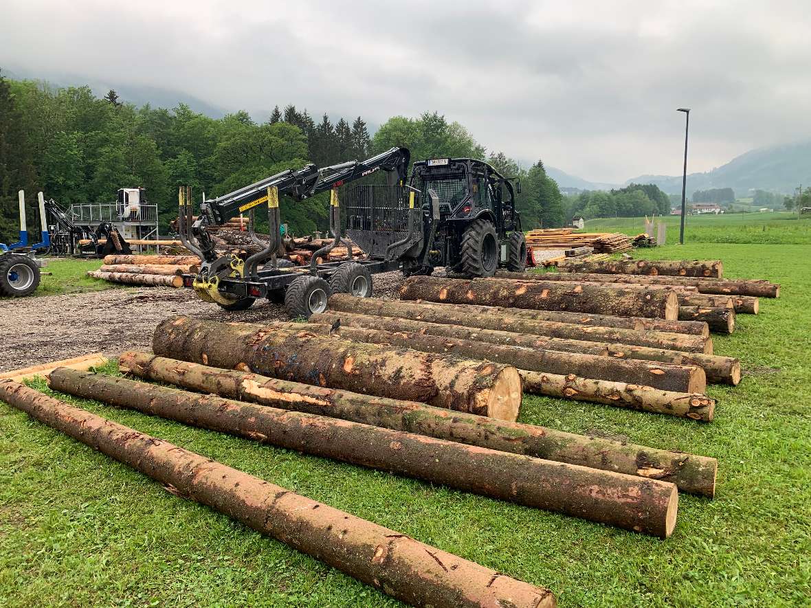 Hier liegt das Stangenholz in der Wiese
