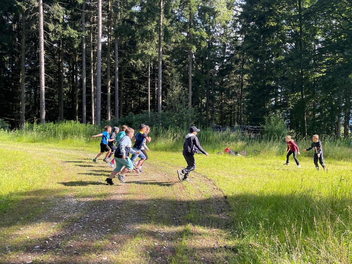 Waldpädagogische Aktivität